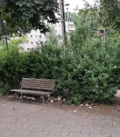 Foto: An der Stassenbahnhaltestelle 