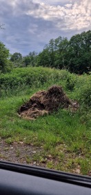 Foto: Stapel Grünabschnitt 