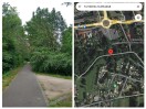 Foto: Tote Bäume  