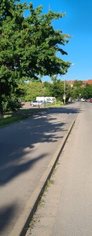 Foto: Starke Verschmutzung der Straße Wiesenweg Abschnitt Fahrradstraße bis Kreuzung Zentrumring.  