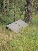 Foto: Müll im Wald an der Kommunalstraße zwischen B2 und OT Brachwitz  