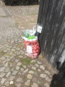 Foto: Illegale Müllentsorgung 