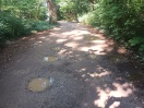 Foto: Sehr schlechte Straße / Weg 
