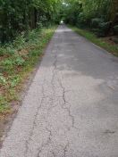 Foto: Radweg zwischen Ogrosen und Laasow 