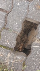 Foto: Fußgängerweg 