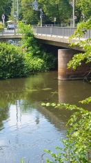 Foto: Verkehrsschilder im Fluss 