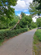 Foto: Baum umgestürzt/ durchgebrochen 