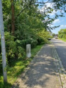 Foto: Baum umgestürzt  