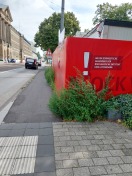 Foto: Unkraut am Gehweg 