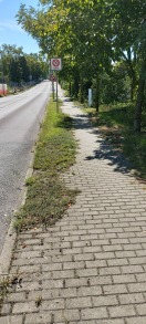 Foto: Ebenerdig und Lichtraumprofil zugewachsen U.a. Abschnitt Altbensdorfer Straße - Magdeburger Straße  