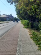 Foto: Zugewachsener Gehweg 