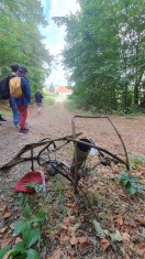 Foto: Sperrmüll im Wald 