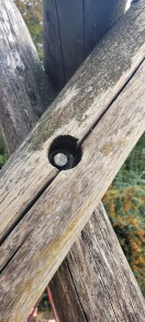 Foto: Schaukel am Spielplatz Amtsteich 