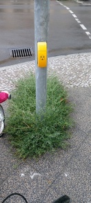 Foto: Zugewachsene Ampel und schadhafte gehwegsbereich Ecke gerostraße 