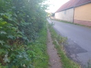 Foto: Gehweg zugewachsen 