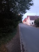 Foto: Gehweg zugewachsen. 