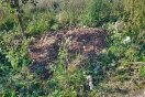 Foto: Abfälle in der Regenwassermulde 