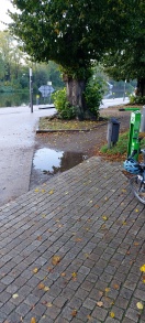 Foto: Pfützenbildung Umfeld Fahrrad-Reparaturstation  