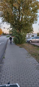 Foto: Benutzungspflichtiger geh und Radweg zugewachsen  