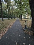 Foto: Fehlende Beschilderung bei dem Weg hinter der Reihe von der käthe-kollwitz-straße  