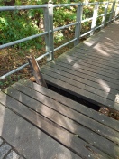 Foto: Brücke am Mischfutterwerk 