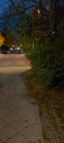 Foto: Gehwegsbereich Ecke Bauhofstraße gefährlich zugewachsen  