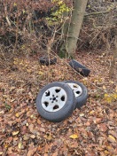 Foto: Müll im Wald Nähe Madlower Badesee 