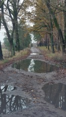 Foto: unbefahrbare Wege 