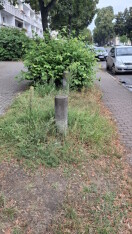 Foto: Radweg wächst zu 