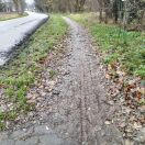 Foto: Radweg ZR1 muss dringend gepflegt werden  