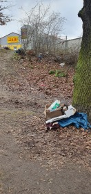 Foto: Müllansammlung auf Grünfläche 