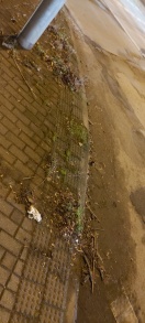 Foto: Allseits starke Verschmutzung Kreuzung B1 B102 Zentrumring Otto Sidow Straße  
