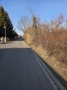 Foto: Wildwuchs 