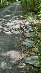 Foto: wilde Müllablagerung 