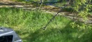 Foto: Rasenflächen 