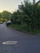 Foto: Zugewachsenes Schild 