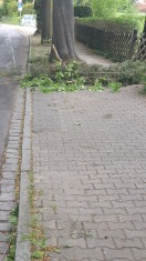 Foto: Blockierter Gehweg 