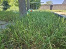 Foto: Spielplatz  