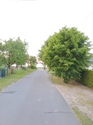 Foto: eingeschränkte Sicht und Straßenlaterne durch Linden massiv beeinträchtigt 