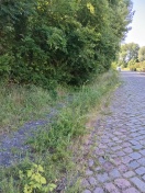 Foto: Gehweg zugewuchert 