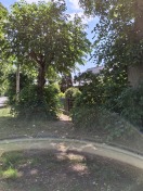 Foto: Zugewachsener Fußweg  