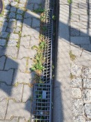 Foto: Reinigung  