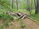 Foto: Wilde Deponie 