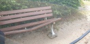 Foto: Defekte Sitzbank 
