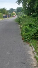 Foto: Überwucherung der Straße  