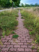 Foto: Gehweg zugewachsen 