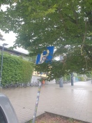 Foto: Verschmutzte Verkehrszeichen  