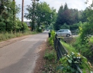 Foto: Biotonne dauerhaft auf der Straße 