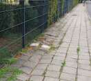 Foto: Schäden 