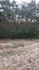 Foto: Waldmännchenweg  